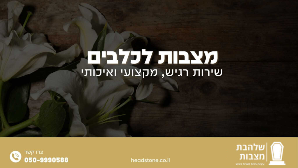 מצבות לכלבים