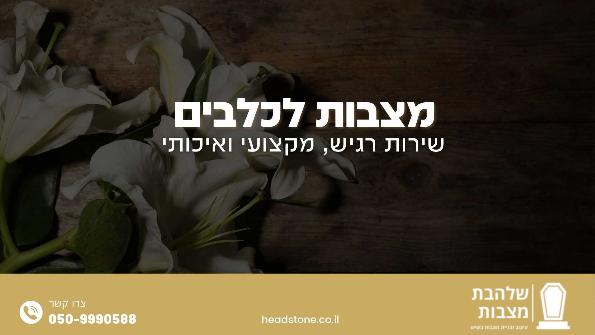 מצבות לכלבים