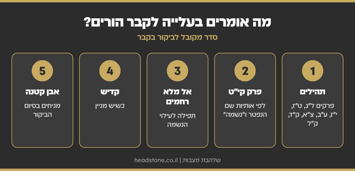 אינפוגרפיקה: מה אומרים בעלייה לקבר הורים - תהילים, פרק קיט לפי אותיות השם, אל מלא רחמים, קדיש ואבן קטנה
